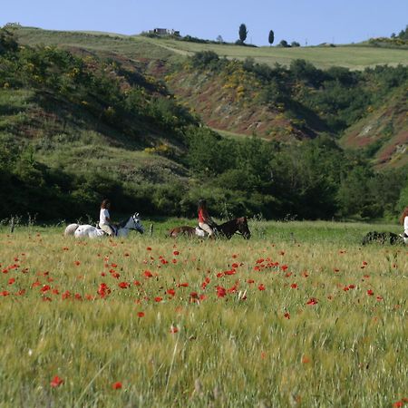 Il Poggio Vendégház Celle sul Rigo Kültér fotó