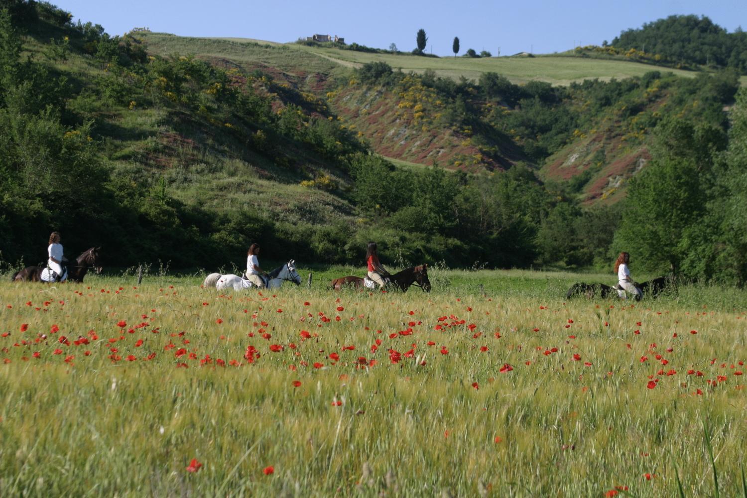 Il Poggio Vendégház Celle sul Rigo Kültér fotó