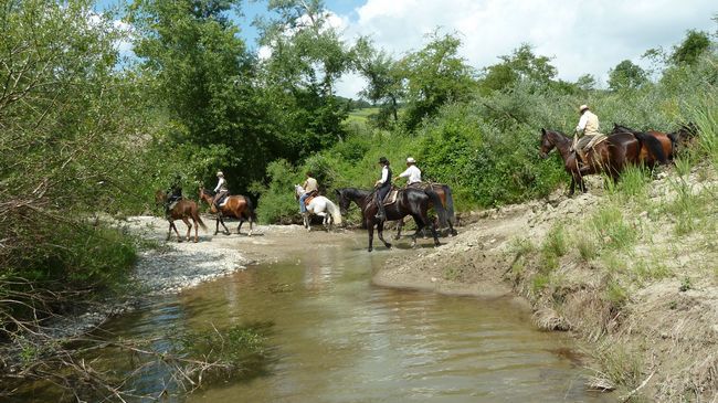 Il Poggio Vendégház Celle sul Rigo Kültér fotó